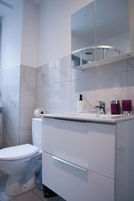Appartement Entier, Proche Tram-Train Et Commodites, Parking Gratuit Mulhouse Eksteriør bilde