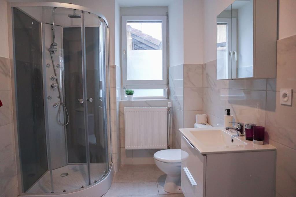 Appartement Entier, Proche Tram-Train Et Commodites, Parking Gratuit Mulhouse Eksteriør bilde