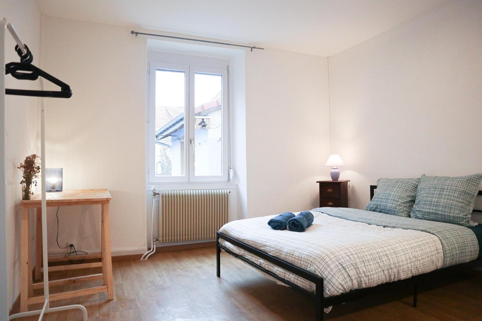 Appartement Entier, Proche Tram-Train Et Commodites, Parking Gratuit Mulhouse Eksteriør bilde